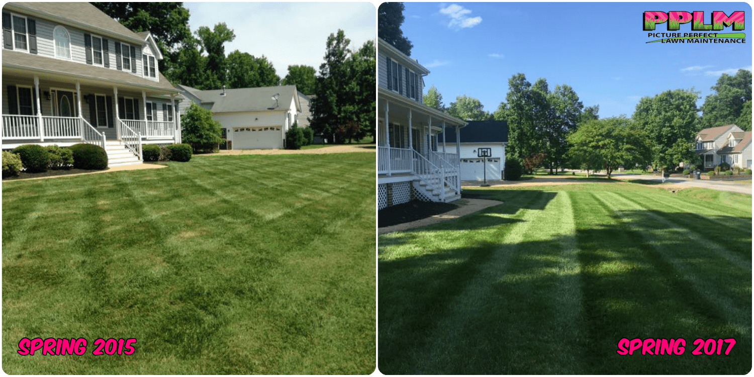 Lawn Restoration