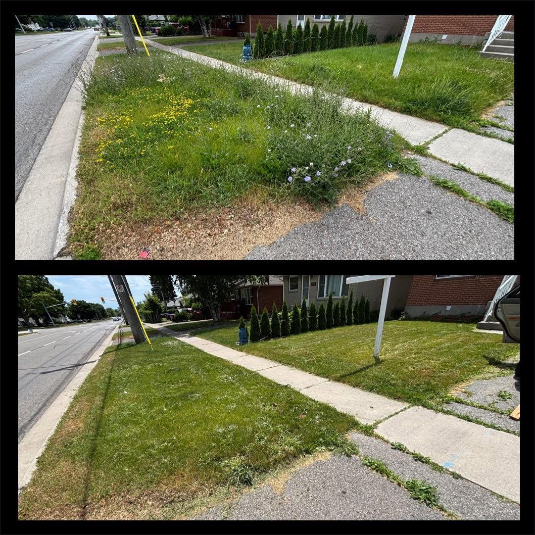 Lawn Edge Transformation