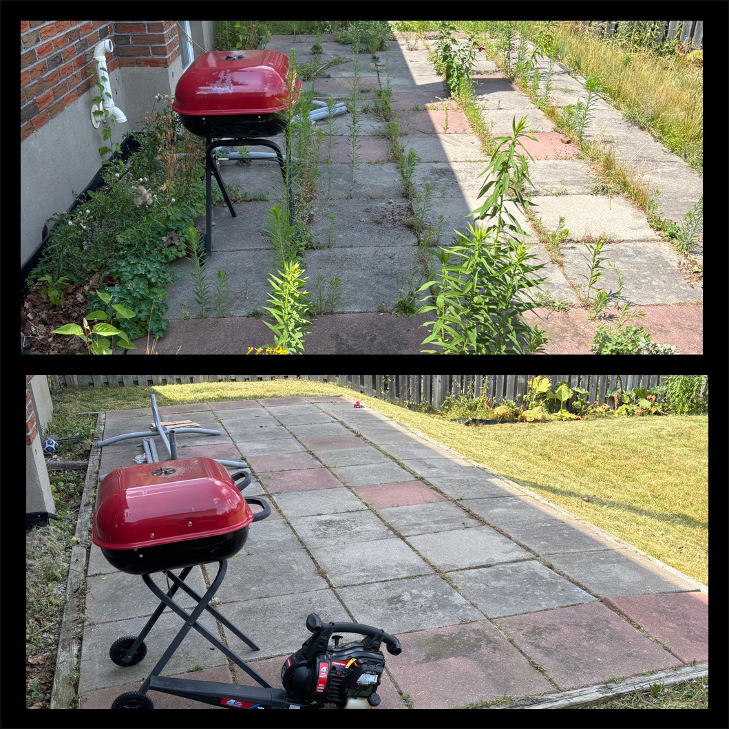 Patio Transformation