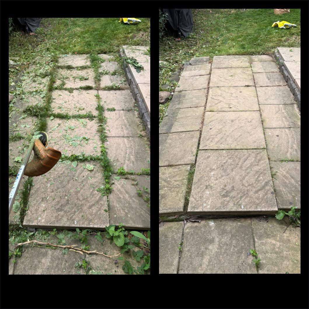 Patio Weeds Transformation
